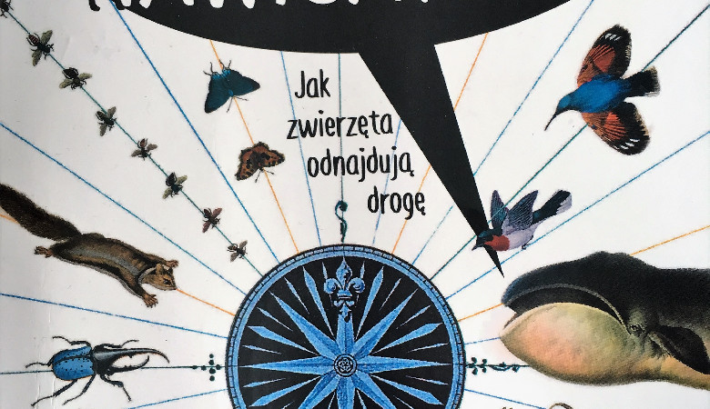 Recenzja: czego się dowiecie z 