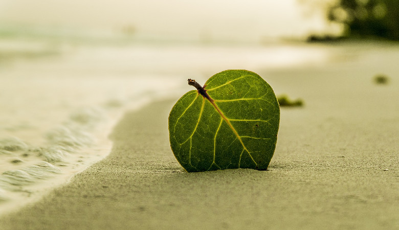 Tysiące wyrzuconych szczepionek na plaży. Właściciela brak