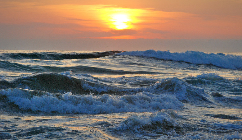 Człowiek i pies przeżyli 2 miesiące na oceanie