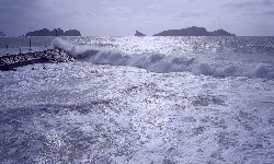 Tajfun na Filipinach. Ewakuowano 1,4 miliona osób  