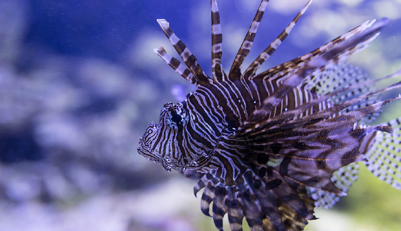 Nie możesz z czymś wygrać? Zjedz to!