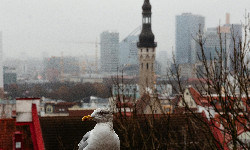 Tak się robi dyplomację!