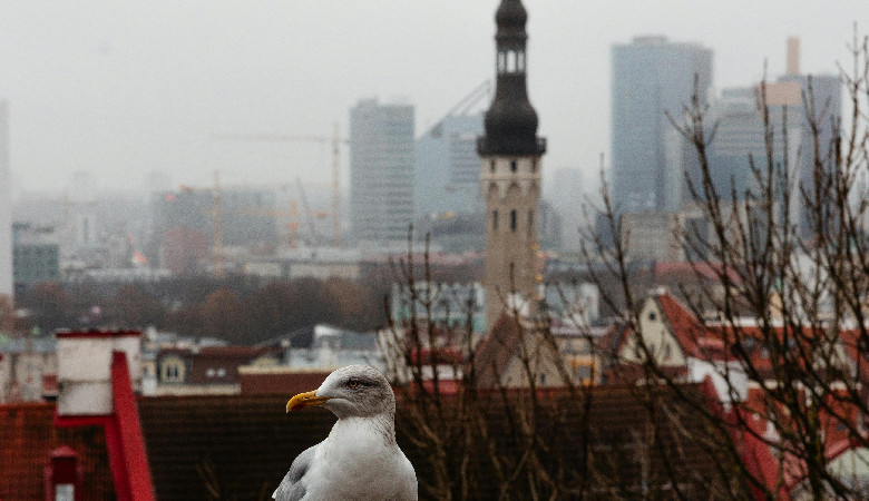 Tak się robi dyplomację!