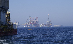 Administracja Trumpa rezygnuje z ochrony przyrody w Zat. Meksykańskiej. Dlaczego?