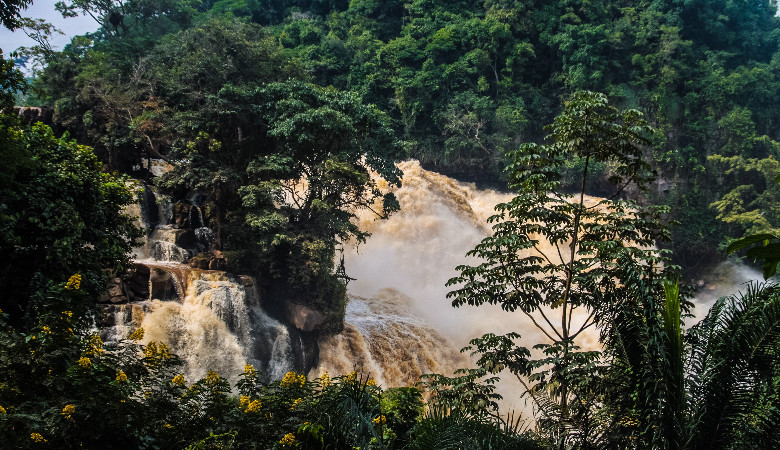 Rybki wspinające się po pionowych skałach. Takie rzeczy tylko w Kongo